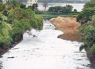 Silt from Bellandur, Varthur lakes may be deposited in Electronics City