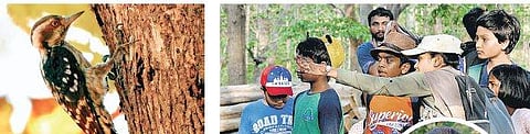 Rajani Rao (inset) started conducting small birding trips two years ago | D HEMANTH