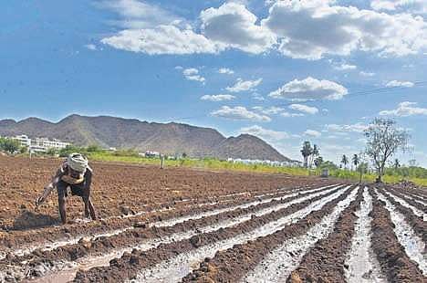 A farmer prepares his land for farming ahead of the Monsoon at Undavalli near Vijayawada on Wednesday (File Photo | P Ravindra Babu, EPS)