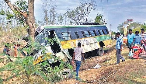 An APSRTC bus that was headed to Ongole from Kanigiri crashes into a roadside tree at Erragudipadu village in Prakasam district on Thursday | Express