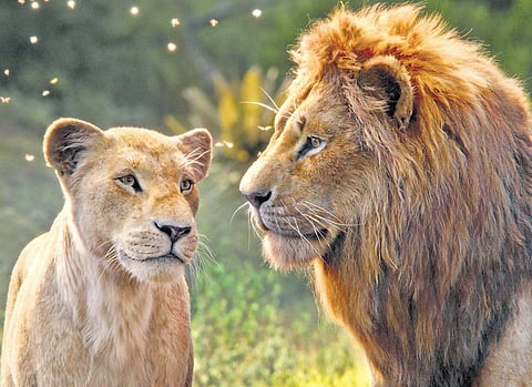 The Lion King