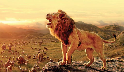 Hear me roar: Mufasa