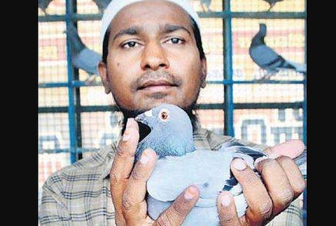 Syed Ahamed Ibrahim with his pigeons in Kovilpatti | V KARTHIKALAGU