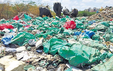 Biomedical waste found on the banks of Adyar River near Tiruneermalai | Express