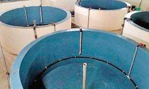 Fisheries varsity aims to popularise advanced aquaculture method 