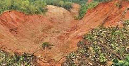 Forums oppose widening of road to 260-ft NH in Kodagu district