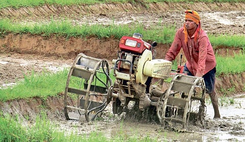 A farmer ploughing his agriculture field using a power tiller at Jhinkaraguda village in Koraput district |  PARESH RATH