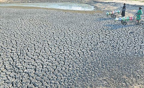 Deficit rainfall in Karnataka's coastal districts hits paddy planting plans