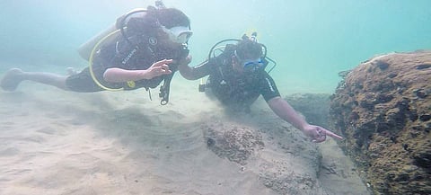 Tourists engaged in scuba diving  | EXPRESS
