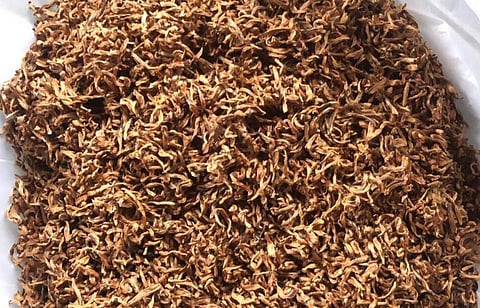 Assam tea variety breaks all records, sold at Rs 50,000 a kg 