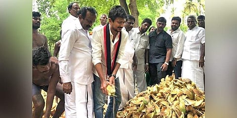 DMK youth wing secretary  Udhayanidhi Stalin husking coconut while canvassing for votes in support of DM Kathir Anand, at Vaniyambadi. (Photo | EPS)