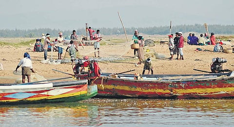 Fishermen with their catch on Purunabandha coast in Ganjam district I Express