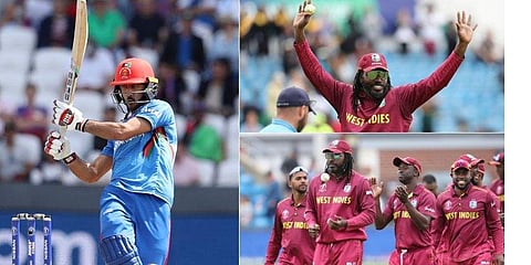 West Indies capped off their campaign with an entertaining victory | AP