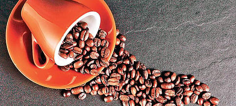 A cup of coffee is all it takes to get one's day started.