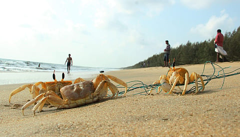 Representational image