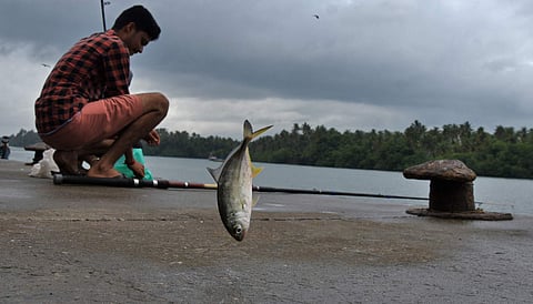A scene from Muthalappozhi fishing harbour in Thiruvanathapuram.  (File photo | B P Deepu, EPS)