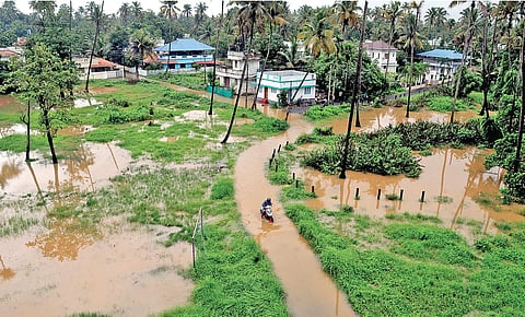 A flooded area at Varapuzha |  A Sanesh
