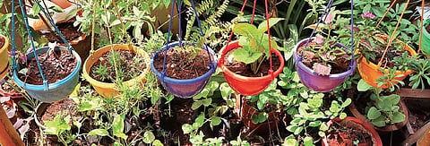 ‘Building a garden is a one-time investment’