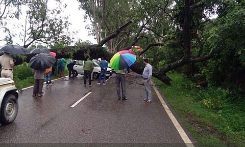 National Highway (NH) 154 blocked after a tree fell on the highway near Tattal, Nurpur in Kangra district