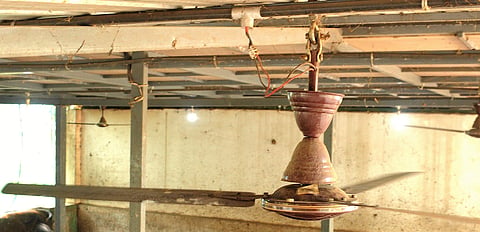 For representational purposes (File Photo | EPS)