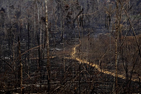 Hundreds of new fires have flared up in the Amazon in Brazil, data showed Monday, even as military aircraft dumped water over hard-hit areas and G7 nations pledged to help combat the blazes. (Photo | AP)