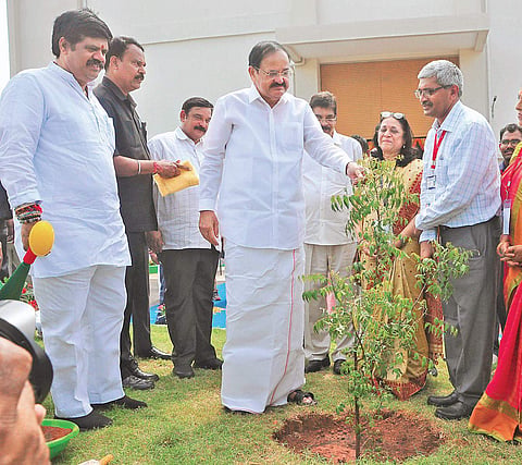 Vice-president M Vekaiah Naidu planting a sapling at SAMEER  in Visakhapatnam on Thursday (Photo| EPS, G satyanarayana)