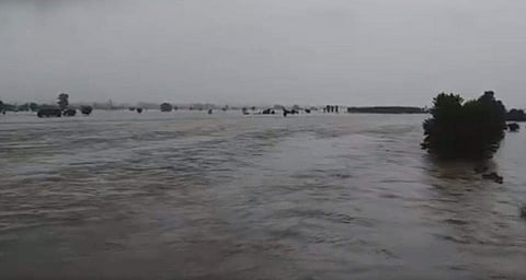 Sutlej river