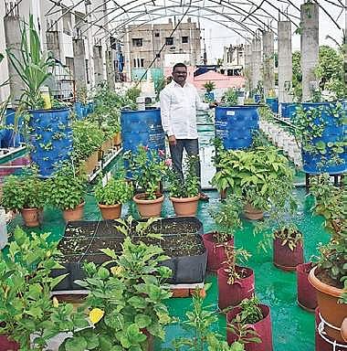 Yadlapalli Venkateswara Rao at a roof-top garden at Khairatabad | Vinay Madapu