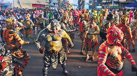 Pulsating pulikali sets pulses racing in Thrissur