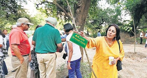 Placards with the name of the plants and the Gold Club members who planted  them have been placed on the trees. | ( Photo | Arun Kumar )