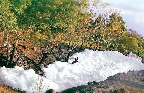 Once considered the lifeline of the city, the Vrishabhavathi river has now turned into a frothy mess owing to the release of a large amount of pollutants in it  | pandarinath b