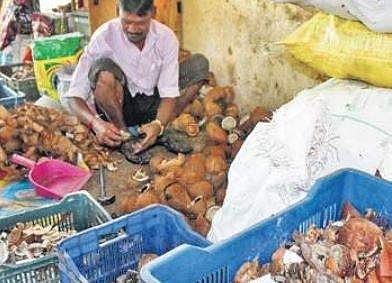 Mixed garbage in your bag? BBMP to fix huge penalty