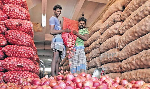 Two truckloads each of 30 metric tonnes arrived from the wholesale grain market of Kabul. (Photo | Ashwin Prasath, EPS)
