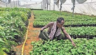 Image used for representational purpose only. (File photo | EPS)