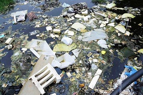 The waste dumped at Pallikaranai marshland in  Tamil Nadu. (EPS |Sunish P Surendran)