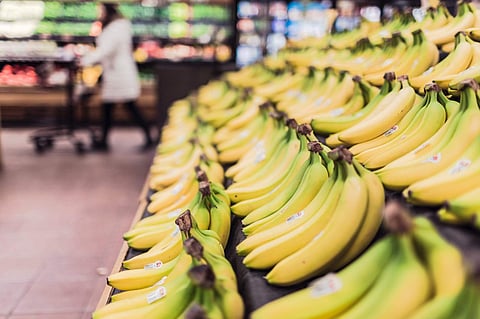 Image of bananas used for representational purposes only.