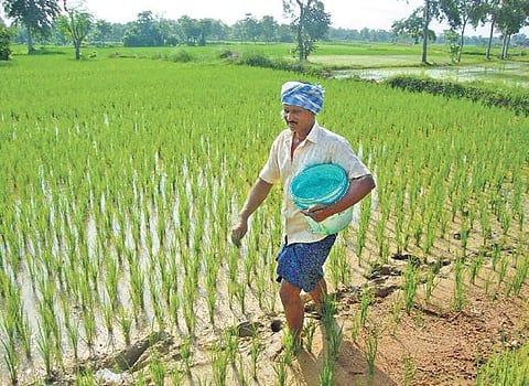 As per government norms, only licensed retailers, wholesalers and primary agriculture cooperative societies are authorised to sell fertilisers at regulated rates. 