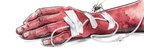 For representational purposes (Express Illustrations)