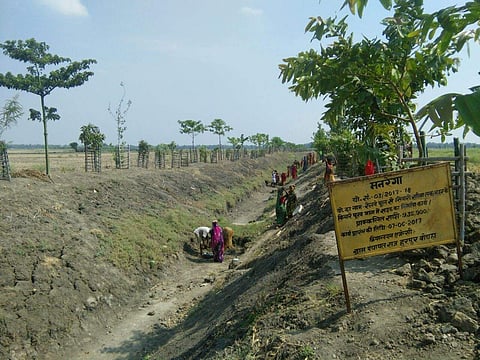 Harpur Bochanan Panchayat in Bihar's Samastipur is famous for its greenery (Photo | IANS)