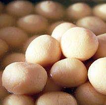 GI tag to Banglar Rasogolla: Hearing shifted to Oct 21  