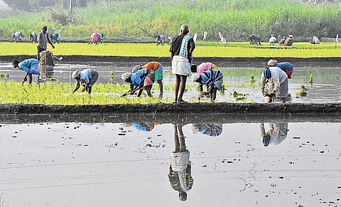 Kharif foodgrain production