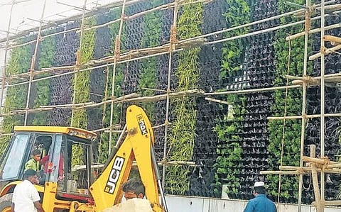 Vertical garden being developed at Dharwad railway station | D Hemanth