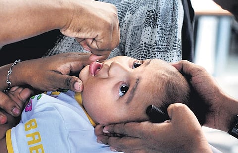 A tiny tot being administered vaccine as part of the pulse polio immunisation drive in Kochi on Sunday (Photo | A Sanesh, EPS)