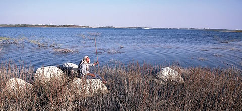 A shepherd sitting on the banks of Himayat Sagar in  Hyderabad (File photo| Vinay Madapu, EPS)