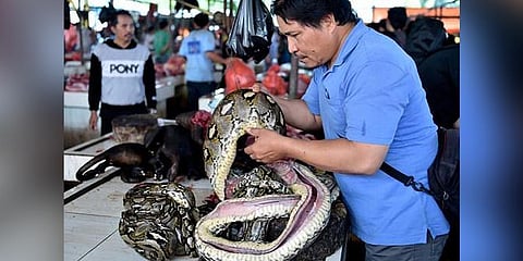 The current Chinese outbreak is believed to have originated from the Huanan seafood market, where sea animals  and snakes were reportedly sold alive. (File Photo | AFP)
