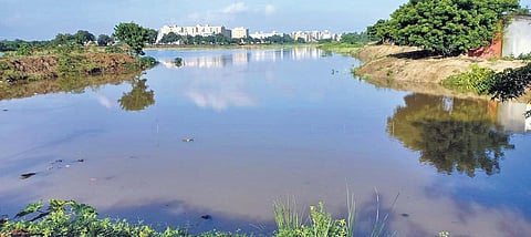 Determined residents had to face several struggles before succeeding in restoring the Karanai Puducherry lake in Urapakkam. (Photo| EPS)