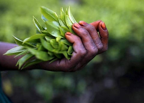 For representational purpose. (Photo | Reuters)