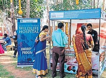 A PfA stall at Shruthi Parthasarathy’s wedding venue | Special Arrangement