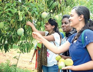 Agritourism, the new addition to tourism world