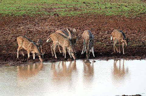 Image used for representation (File photo | EPS)